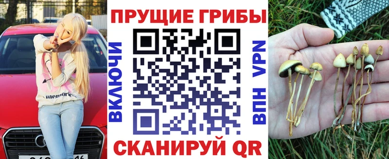 Галлюциногенные грибы мицелий  Купить где  Белозерск 